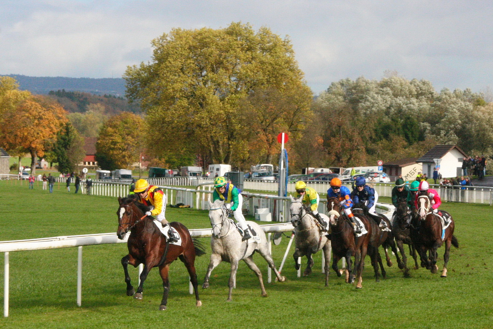 Pferderennen auf der Almend Frauenfeld IMG 1157